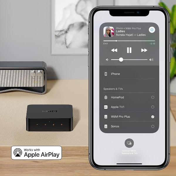 WiiM Pro Plus Audiophile Grade Multi-Room Music Streamer