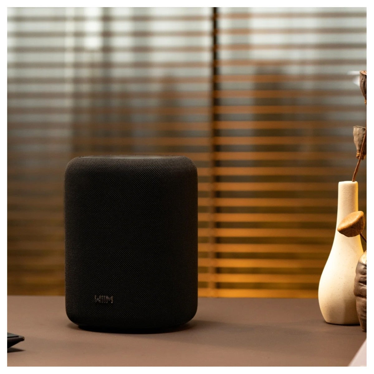 WiiM Sound Lite Wireless Smart Speaker with WiiM NorStone Floor Stand (Single) - Black