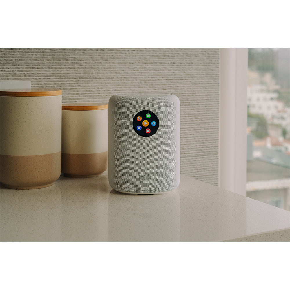 WiiM Sound Wireless Smart Speaker with WiiM NorStone Floor Stand (Single) - White