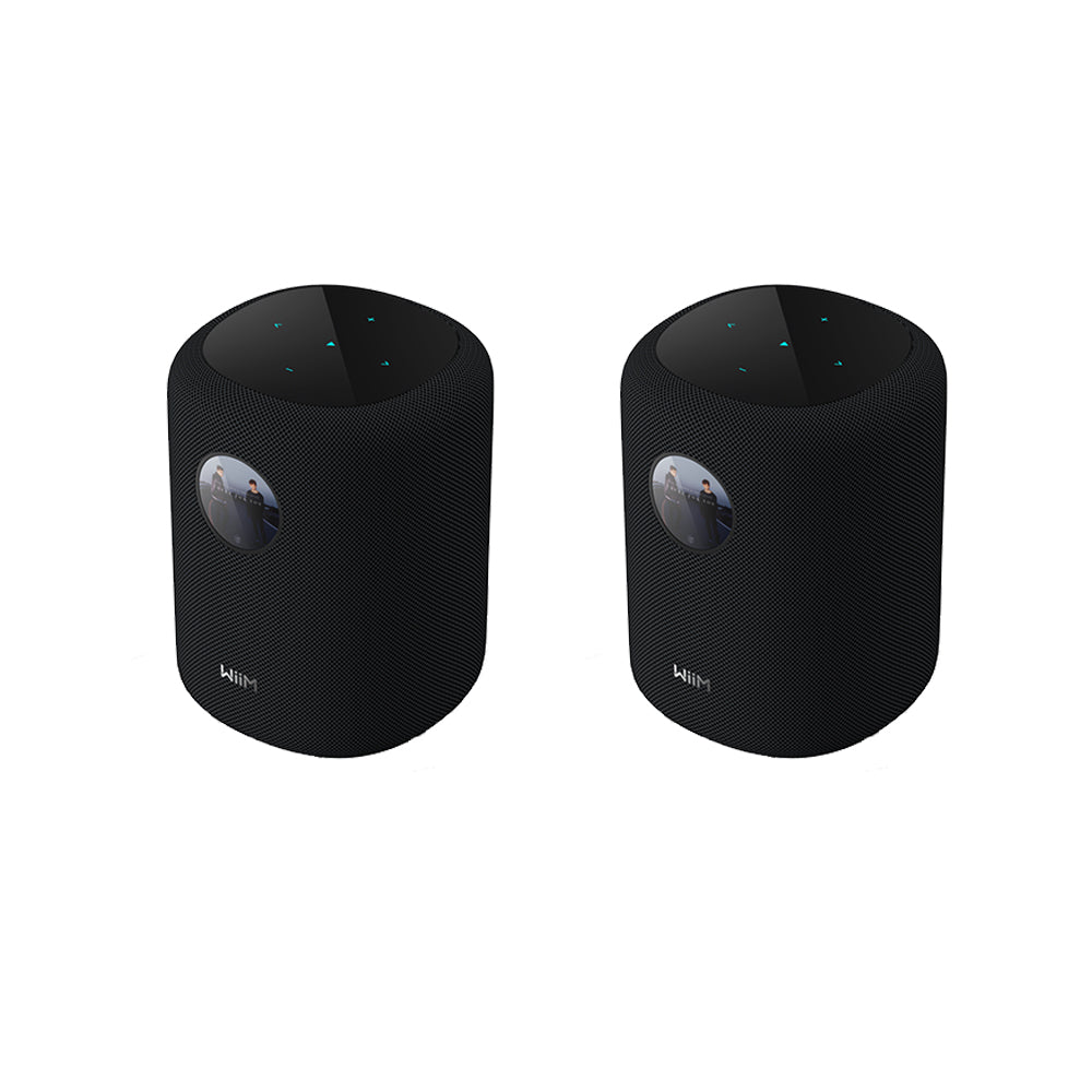 WiiM Sub Pro Wireless Subwoofer with WiiM SOUND Wireless Multiroom Smart Speakers Pair - Black